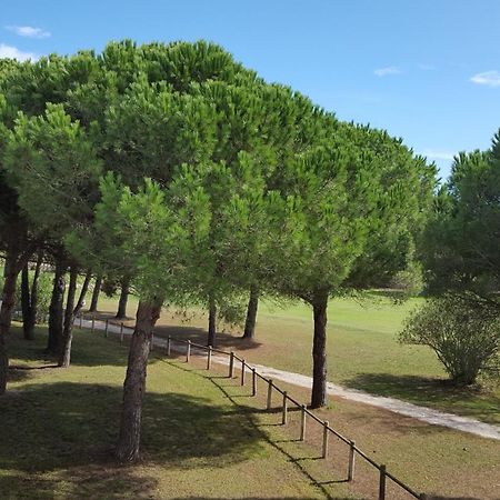 Vert Paradis - Vue Apaisante Sur Golf, Pins Parasols, 2E Etage - 80 M2 Dont Terrasse Avec Pergola, 2 Chambres, 3Et Iles, 3 Clim, Wifi - Piscine, Parking Et Park A Velos, Ascenseur - En Option Linge, Menage - Pistes Cyclables, Mer A Proximite Saint-Cyprien Kültér fotó