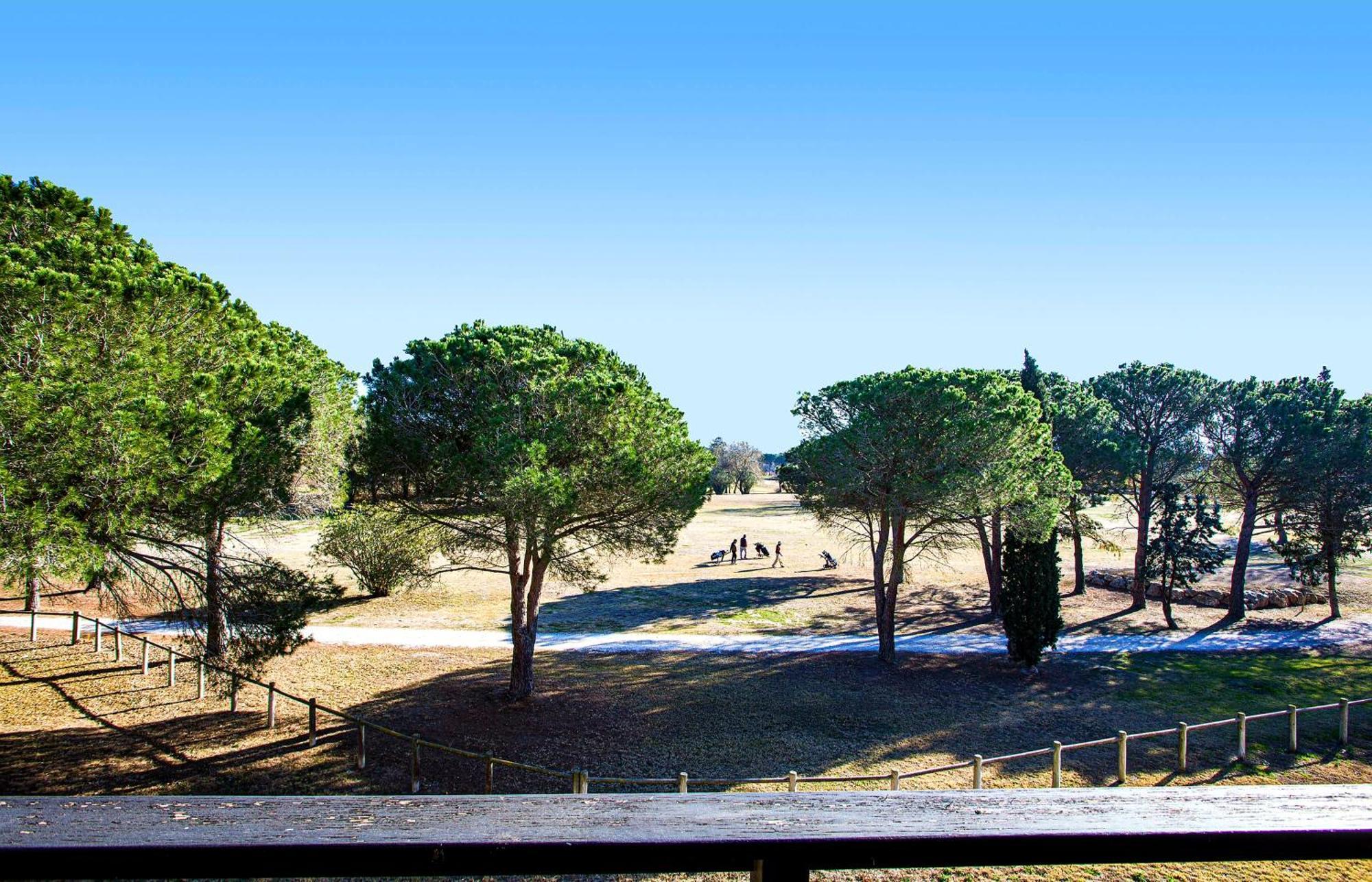 Vert Paradis - Vue Apaisante Sur Golf, Pins Parasols, 2E Etage - 80 M2 Dont Terrasse Avec Pergola, 2 Chambres, 3Et Iles, 3 Clim, Wifi - Piscine, Parking Et Park A Velos, Ascenseur - En Option Linge, Menage - Pistes Cyclables, Mer A Proximite Saint-Cyprien Kültér fotó